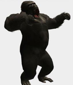 gorila.png.jpg