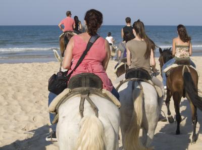 grupo a la grupa.JPG