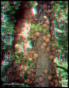 anagliphic desastre 2 .jpg