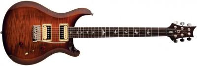 prs_se_custom_24_2012_ts.jpg