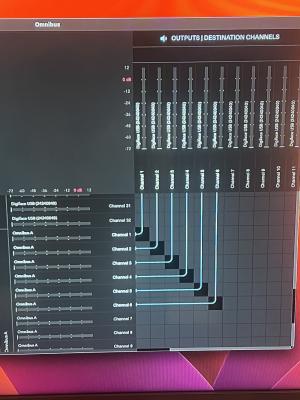 ROuting Omnibus x DigiFace.jpg