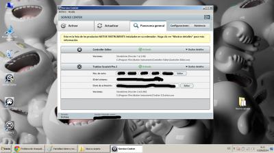 pantallazo service center.jpg