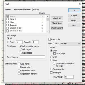 Ventana impresión.JPG
