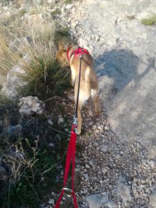 2014-02-09 09.37.13.jpg