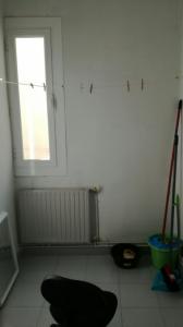 WhatsApp Image 2017-01-18 at 13.40.28 (3).jpeg