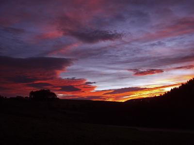 amanecer desde casa-mdf 1200.jpg