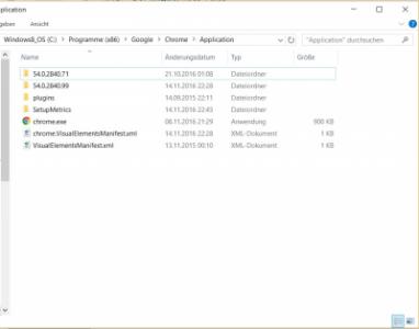 Carpeta Programa x86-Google-Chrome.jpg