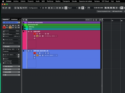 CONFIGURACION PISTA INSTRUMENTO O RACK VSTI.png