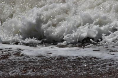 IMG_0990 (Large).JPG