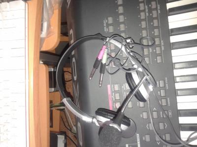 AURICULAR+MICRO NGS.jpg