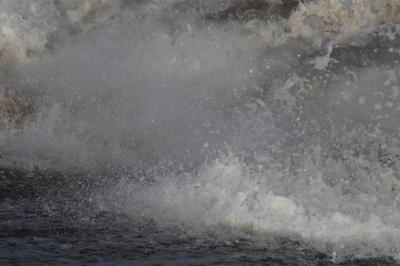 IMG_0761 (Large).JPG