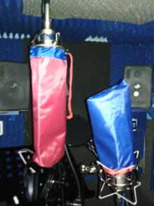 MICROS CON FUNDA.jpg