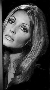 sharon tate.jpg