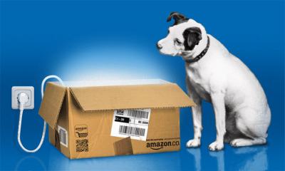 amazon and Nipper.jpg