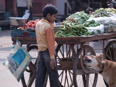 P1010709 reduced.jpg