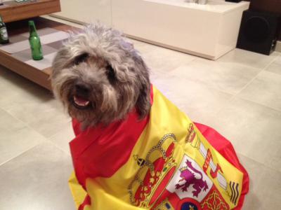 Bob bandera de españa.JPG