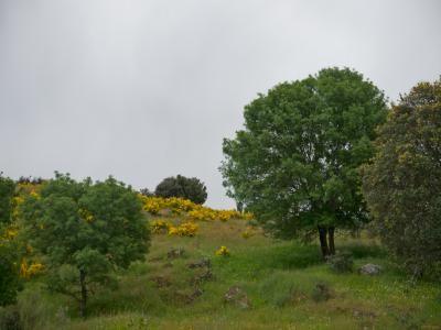2-primavera-Robledo 2-Web.jpg