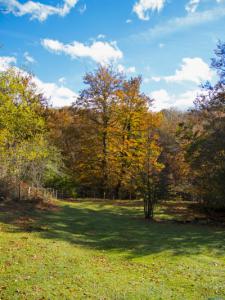 9 Hayas-brillantes-Web.jpg