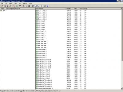 1 samples cargados.jpg