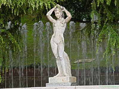 venus-fauna  Web.jpg