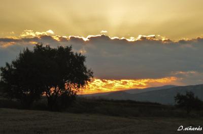 IMG_2415 - copia.JPG