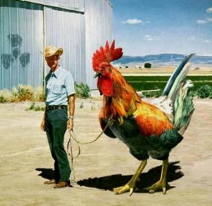 el hombre con la polla mas grande.jpg