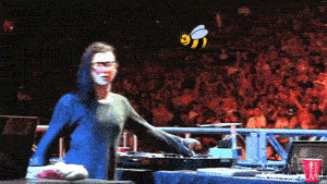 skrillexbee.gif