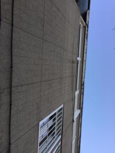 WhatsApp Image 2019-03-15 at 14.14.18 (1).jpeg