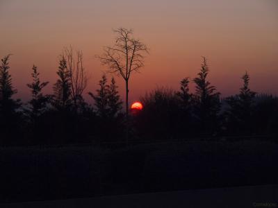 2 Amanecer-rojo-2012-Web.jpg