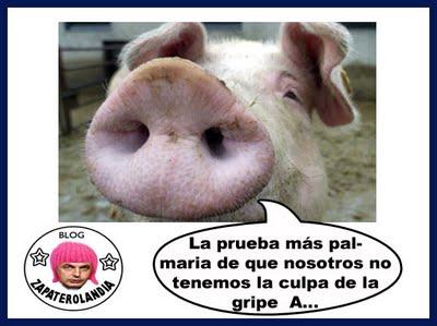 Cerdo gripe A_01.jpg