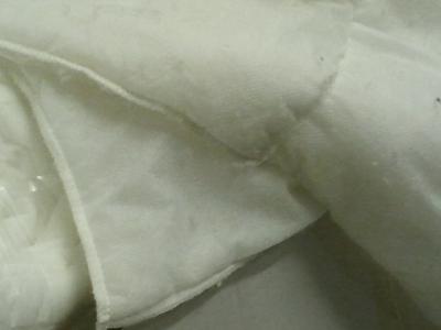 2013-03-21 13.01.51.jpg