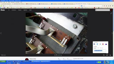 Captura de flickr.jpg