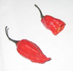 Mas picante.....!!.jpg
