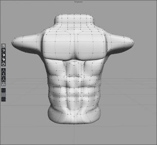 Torso2.jpg