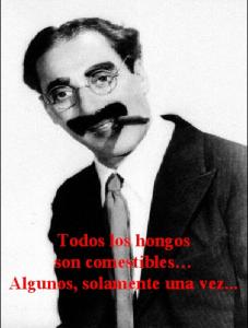Groucho 1.jpg