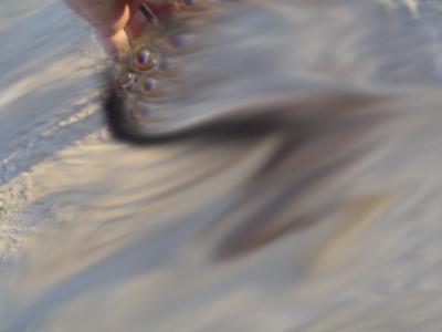 acariciando al perrito.jpg