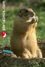 Un porrito antes de dormir....jejejeje.jpg