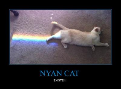 3015b_CR_267837_nyan_cat.jpg