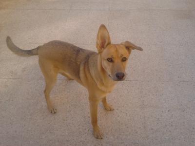 2013-12-22 12.50.47.jpg