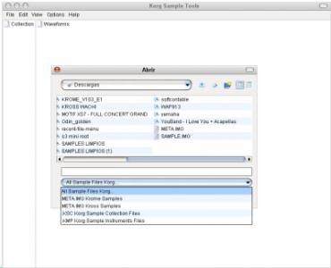KS Hispa formats.jpg