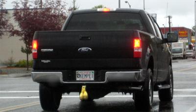 truck-nuts.jpg
