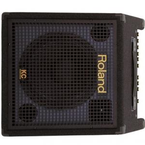 ROLAND KC350 IMAGE 1Popup.jpg