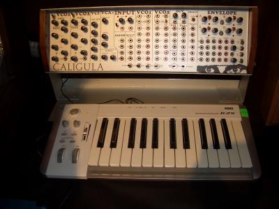 Befaco modular synth! rare desing!.JPG