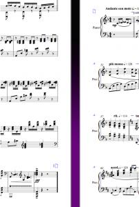 Resultado Sibelius 7.jpg