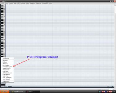 Cambio de programa.jpg