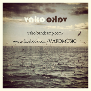 VAKO YOUTUBE.png