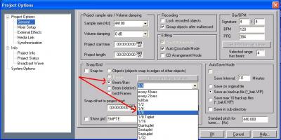 Snap in Project Options.JPG