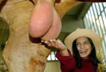 Captura de pantalla 2013-01-14 a las 02.39.18.png