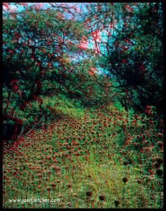 anagliphic desastre .jpg