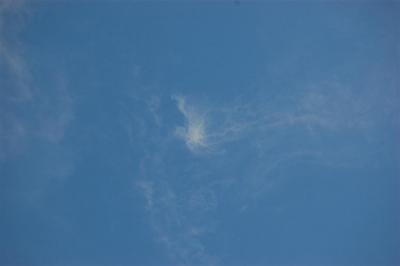 27-10-09 nube pájaro 003 (Large).jpg